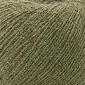 A06 Olive