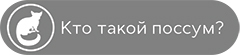 Статья про поссума