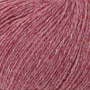 Raspberry 883424