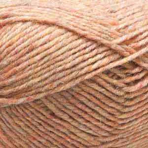 H06 Coral