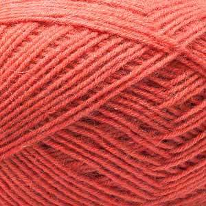 C05 Currant