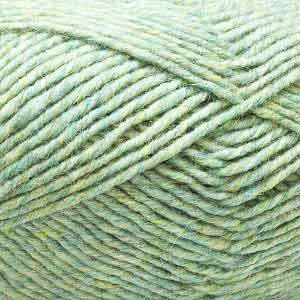 H03 Lichen
