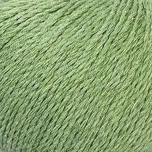 K07 Fern