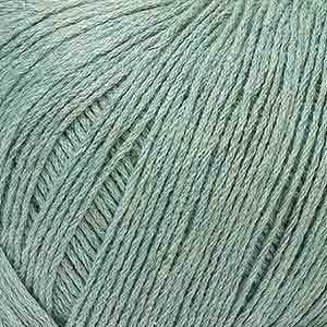L13 Winter Green