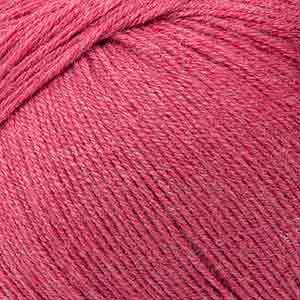 Sorbet
