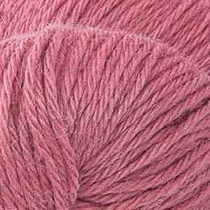 Tea Rose 3M008