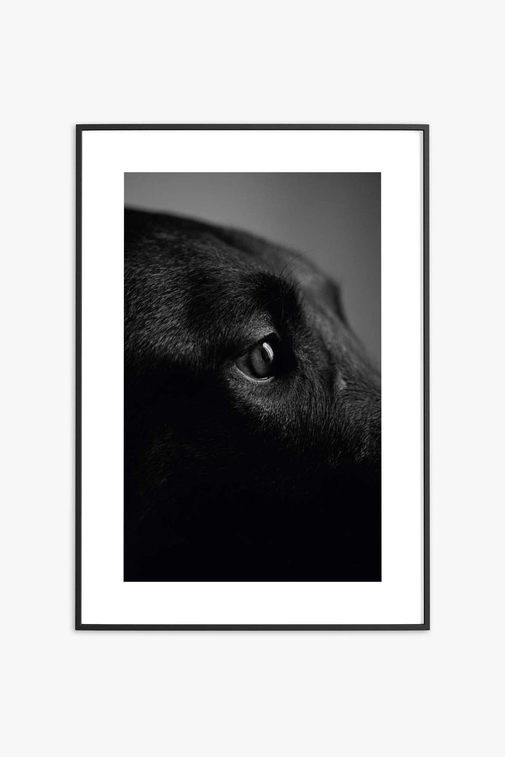 Москва, ноябрь 2021